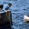Film Fiber: <em>Jaws</em>